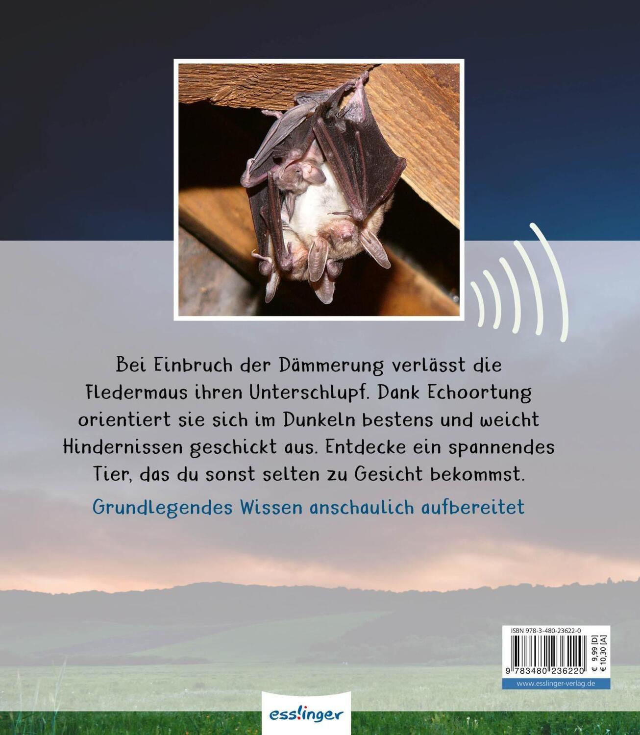 Rückseite: 9783480236220 | Meine große Tierbibliothek: Die Fledermaus | Jens Poschadel (u. a.)