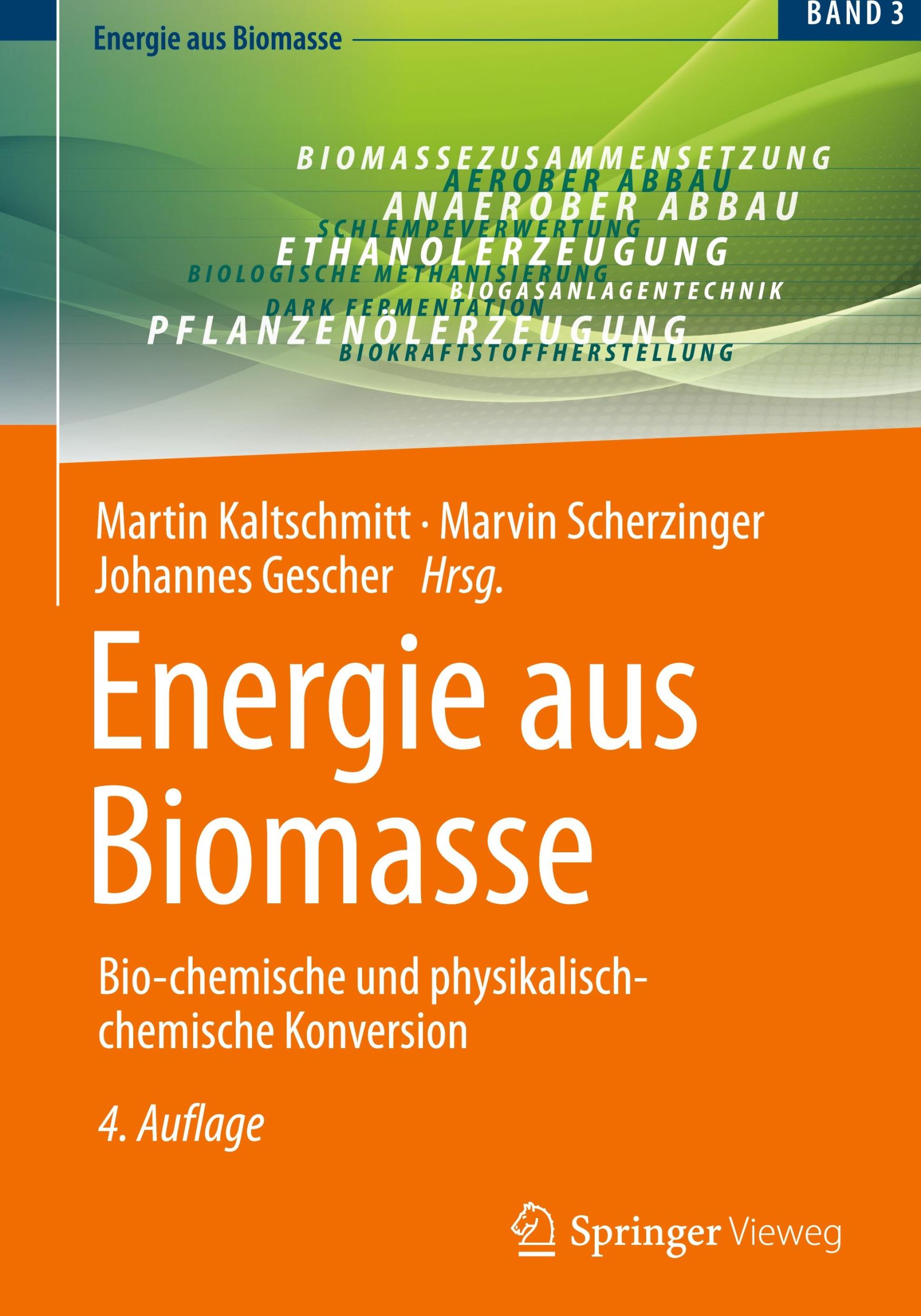 Cover: 9783658413859 | Energie aus Biomasse | Martin Kaltschmitt (u. a.) | Buch | xvi | 2024