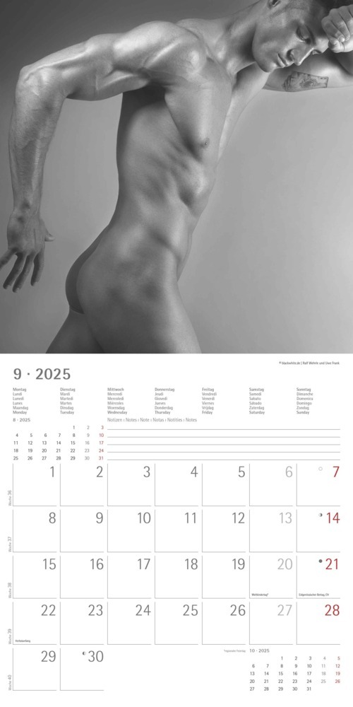 Bild: 4251732343095 | Alpha Edition - Masculine 2025 Broschürenkalender, 30x30cm,...