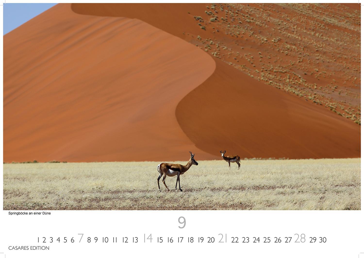 Bild: 9781835240625 | Namibia 2025 L 35x50cm | Kalender | 14 S. | Deutsch | 2025