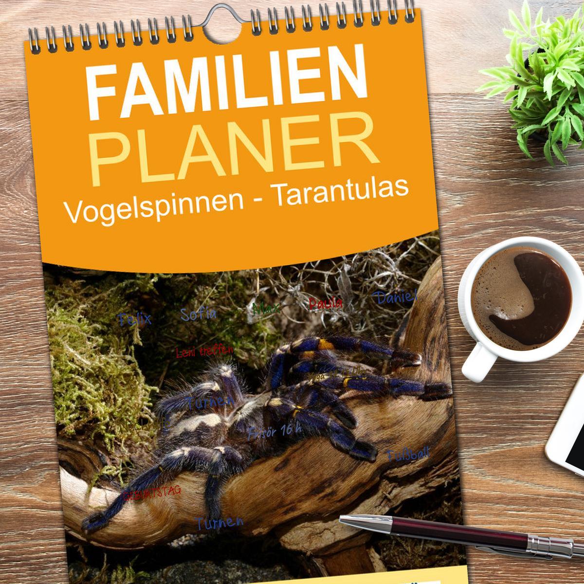 Bild: 9783457113820 | Familienplaner 2025 - Vogelspinnen - Tarantulas mit 5 Spalten...