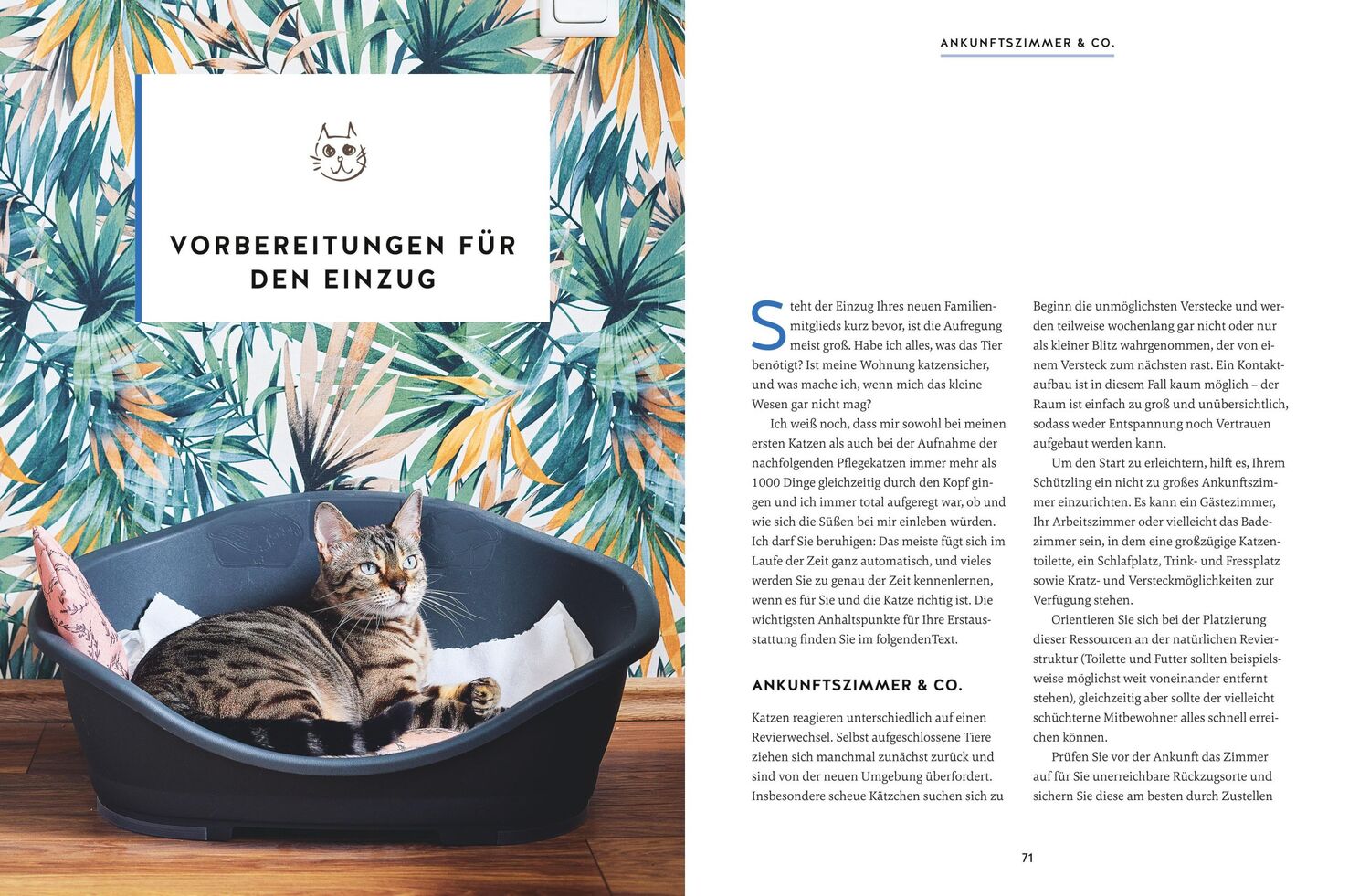 Bild: 9783833889745 | Wie wir Katzen glücklich machen | Carmen Schell | Buch | 256 S. | 2024