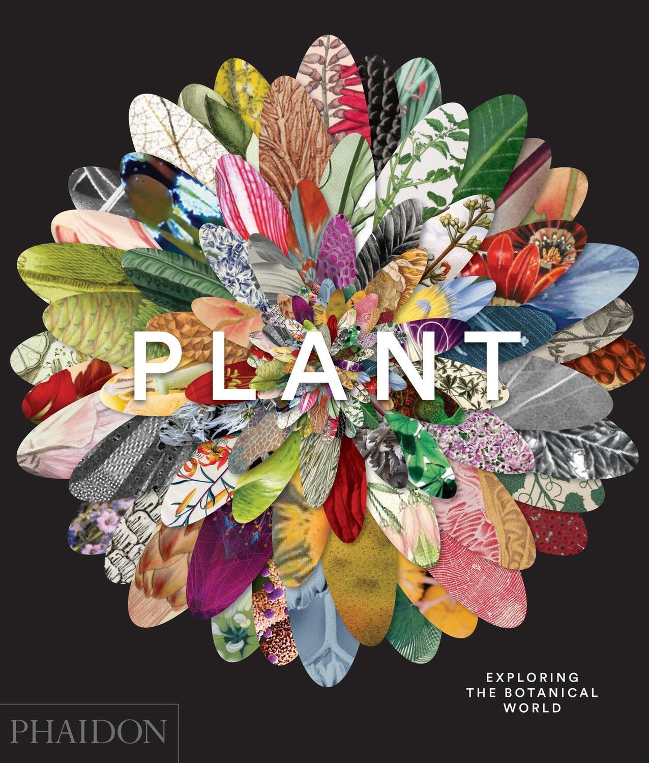 Cover: 9780714871486 | Plant: Exploring the Botanical World | Phaidon Editors | Buch | 2016