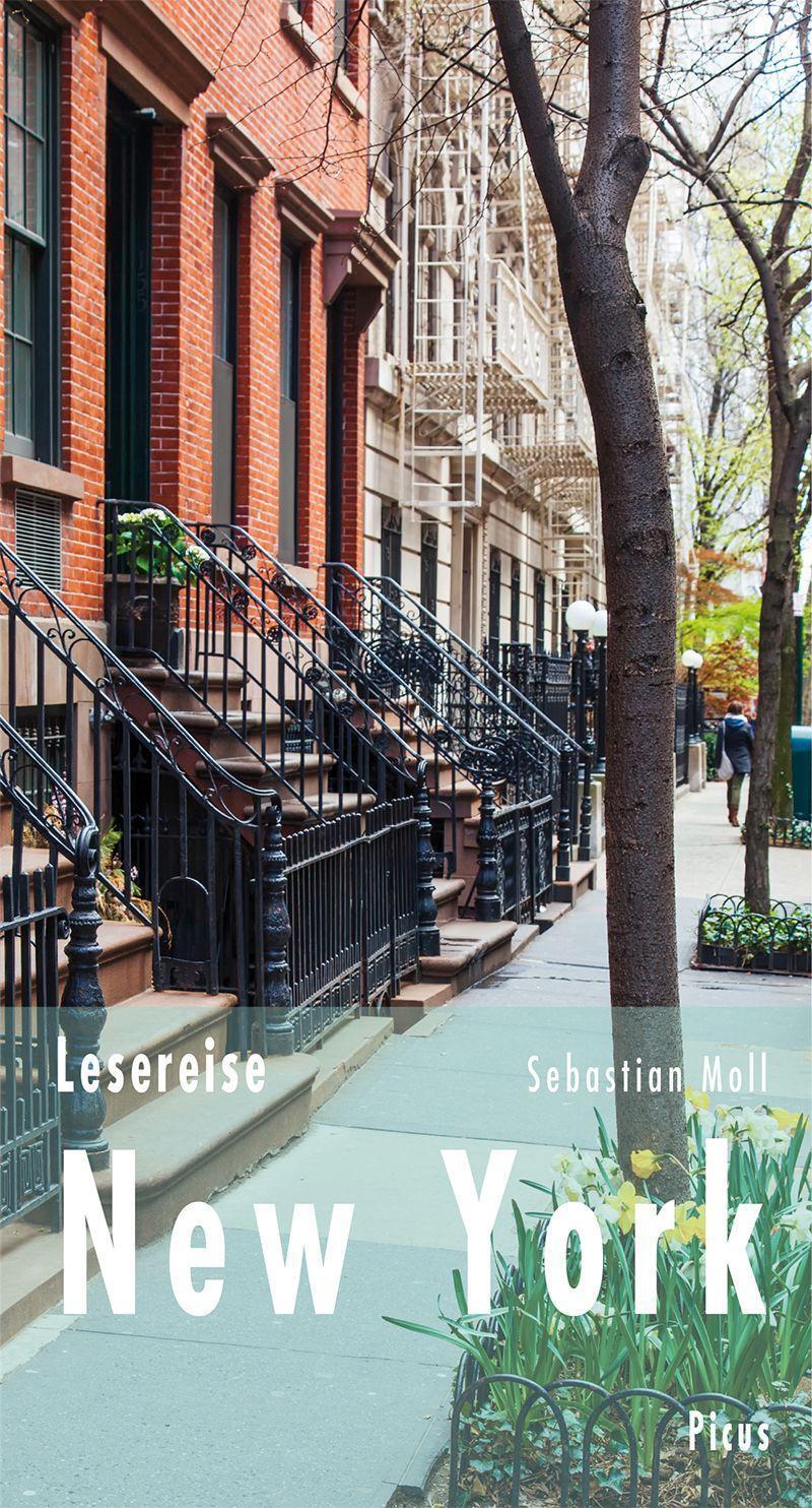 Cover: 9783711711144 | Lesereise New York | Stories aus einer Stadt im Umbruch | Moll | Buch
