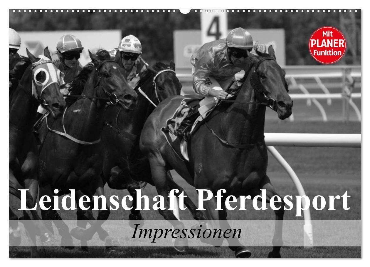 Cover: 9783383306808 | Leidenschaft Pferdesport - Impressionen (Wandkalender 2024 DIN A2...