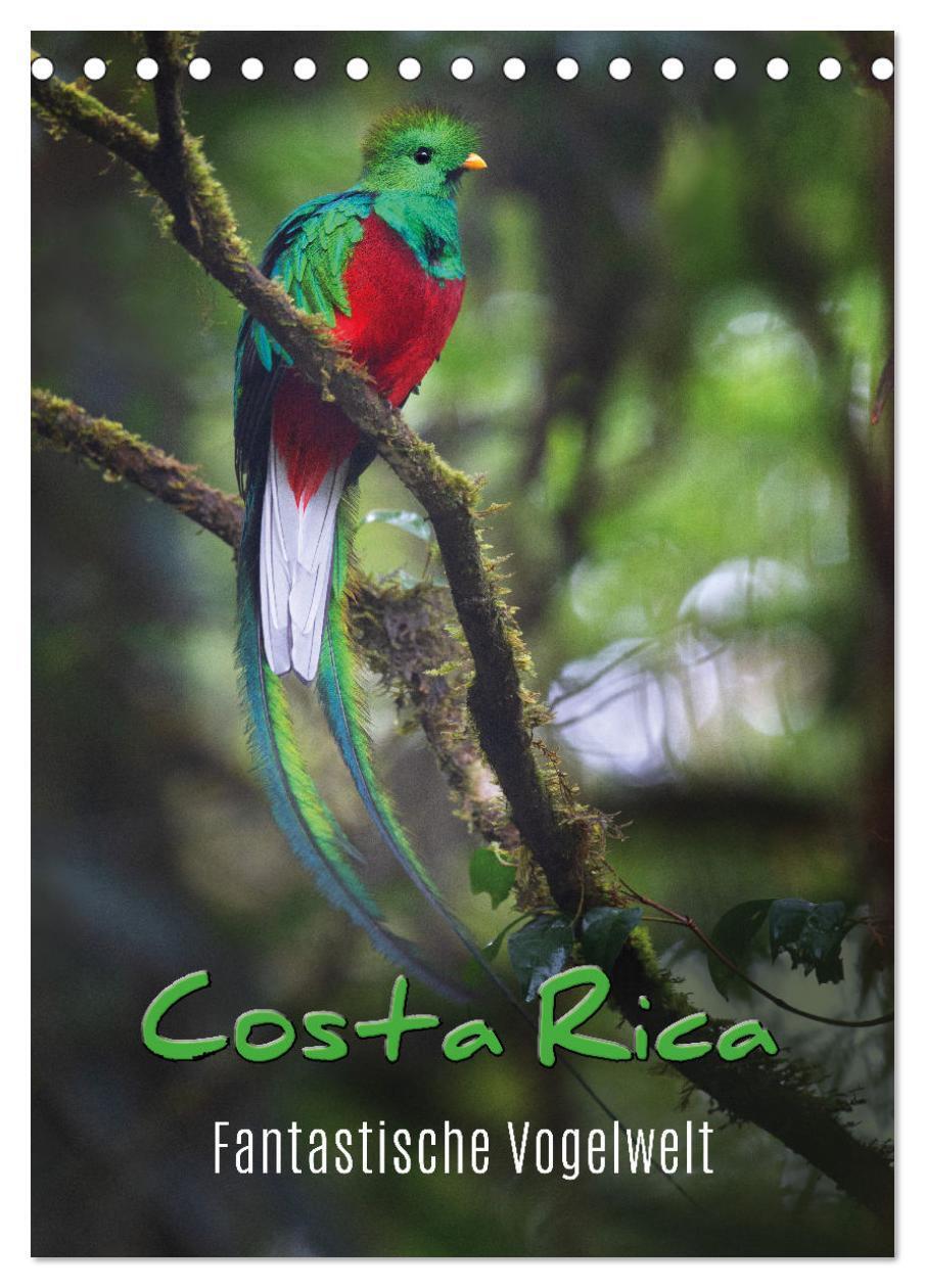 Cover: 9783675661509 | Costa Rica - Fantastische Vogelwelt (Tischkalender 2024 DIN A5...