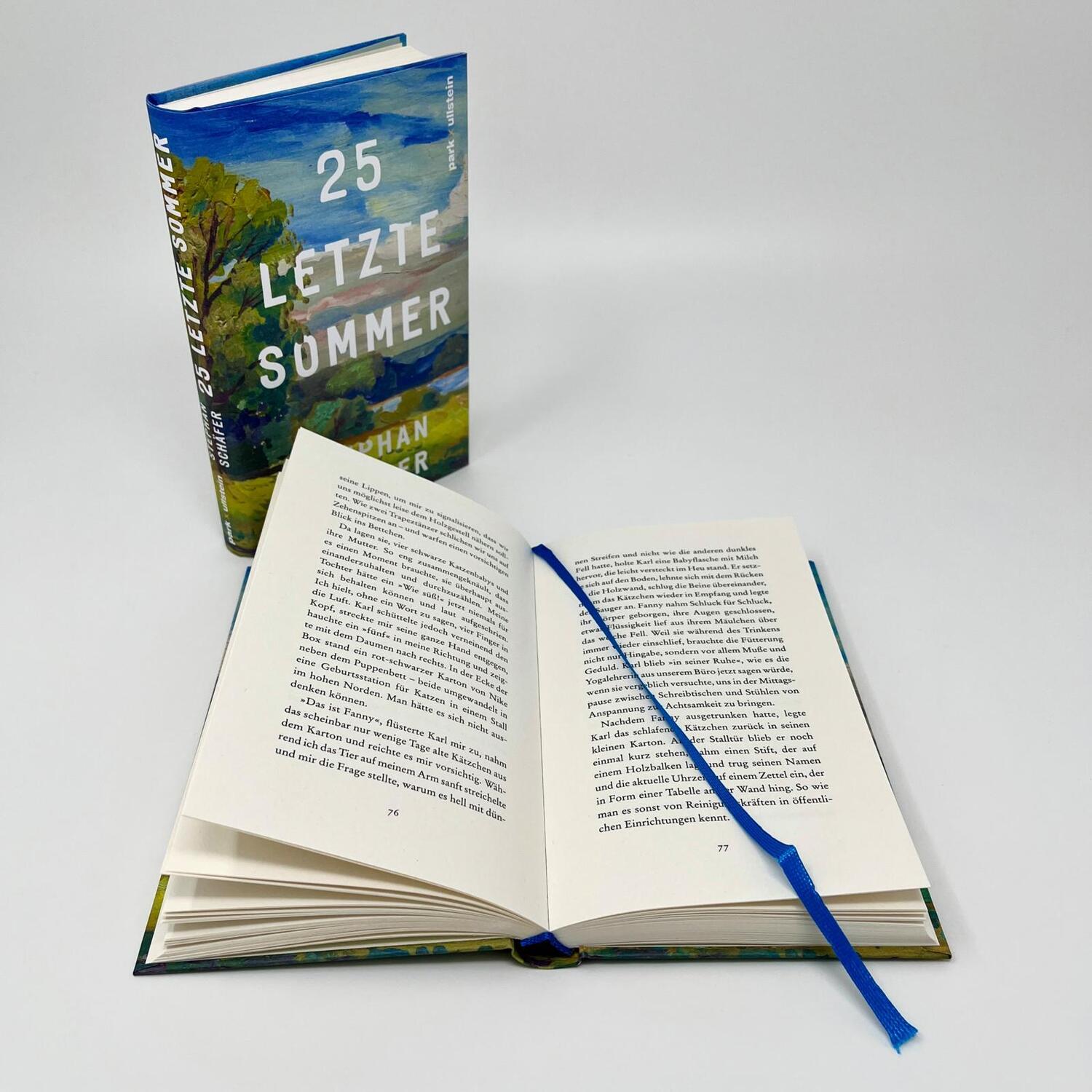 Bild: 9783988160096 | 25 letzte Sommer | Stephan Schäfer | Buch | 176 S. | Deutsch | 2024