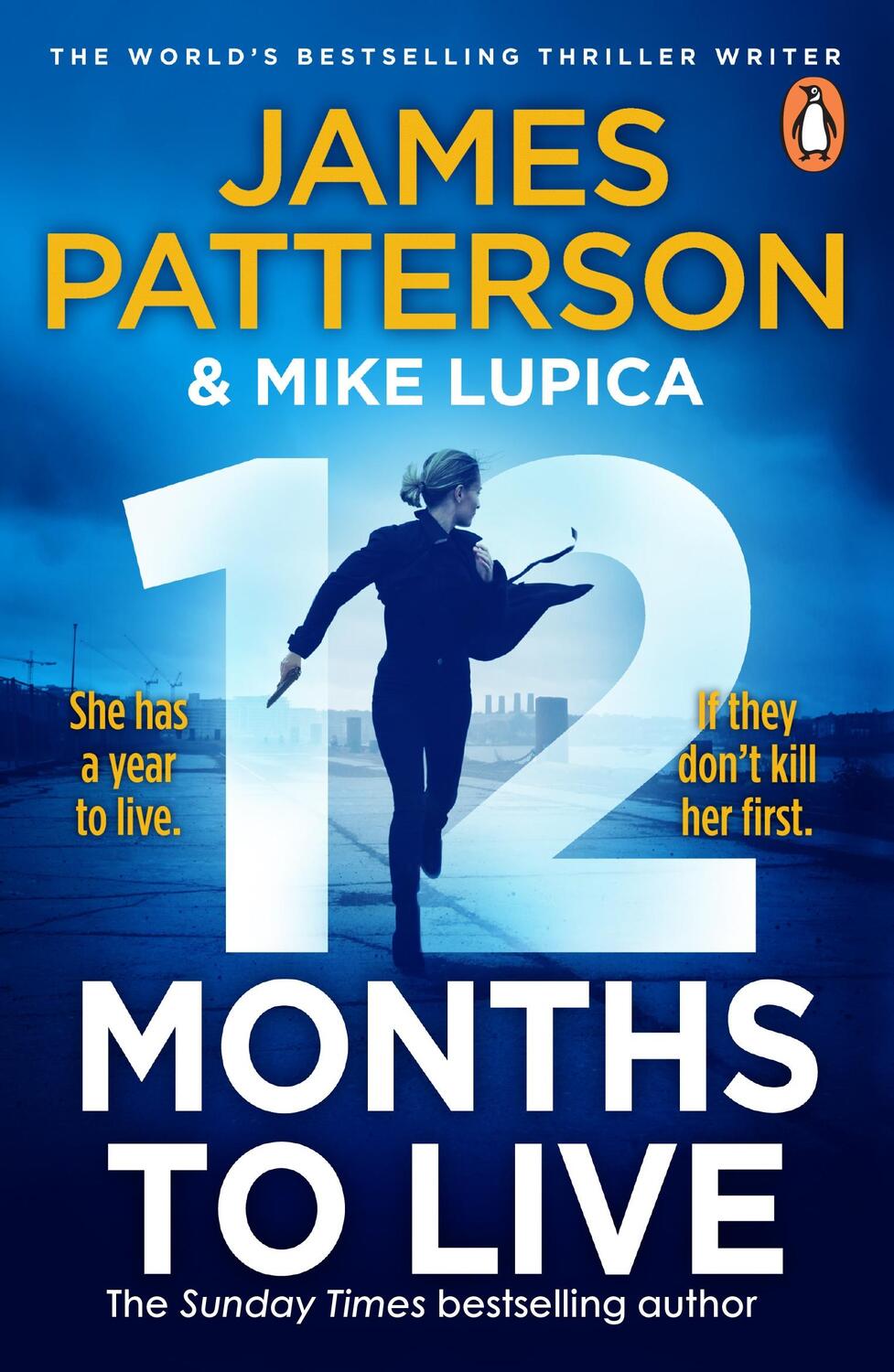 Cover: 9781529160055 | 12 Months to Live | James Patterson | Taschenbuch | Englisch | 2024