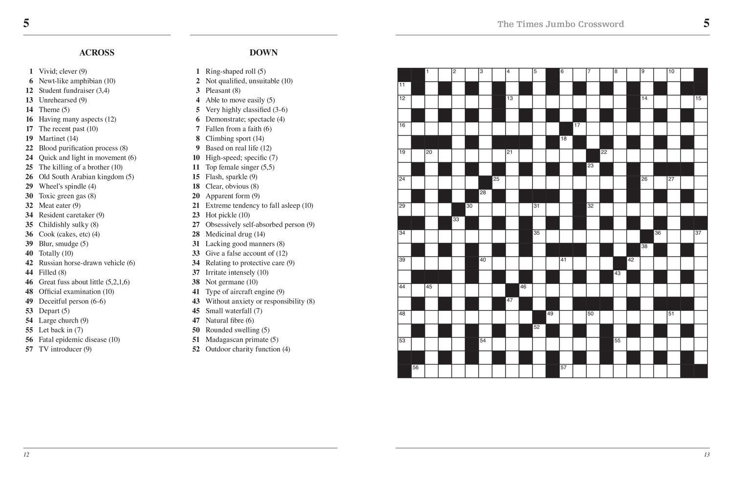 Bild: 9780008472733 | The Times 2 Jumbo Crossword Book 17 | The Times Mind Games (u. a.)
