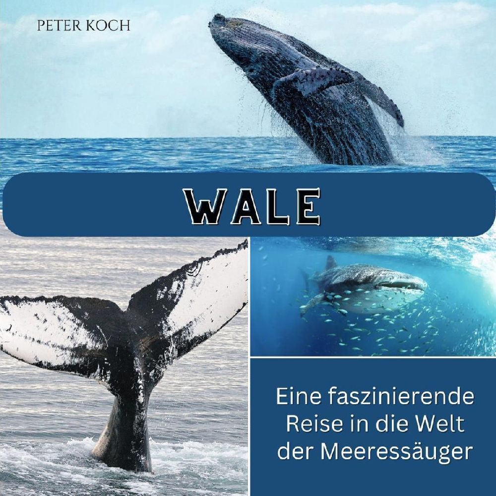 Cover: 9783750563681 | Wale | Eine faszinierende Reise in die Welt der Meeressäuger | Koch