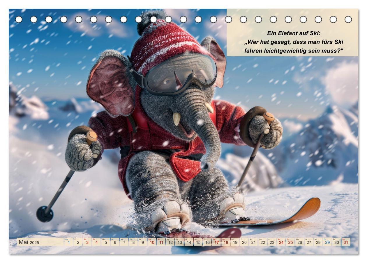 Bild: 9783457156124 | Tierisch lustige Skifahrer (Tischkalender 2025 DIN A5 quer),...