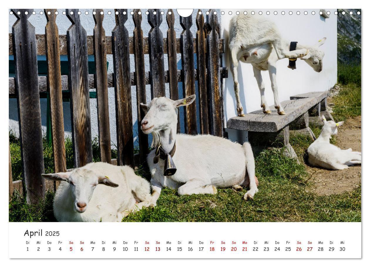 Bild: 9783435104048 | Der Kanton Wallis - einfach liebenswert (Wandkalender 2025 DIN A3...