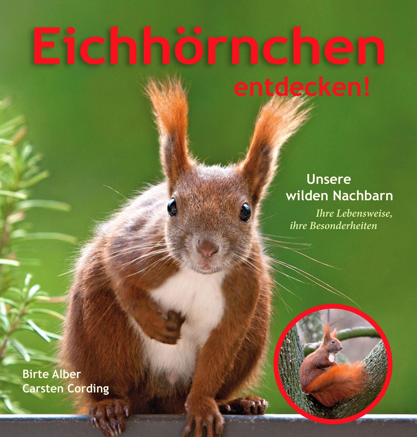Cover: 9783895664410 | Eichhörnchen entdecken! | Birte Alber (u. a.) | Taschenbuch | 144 S.