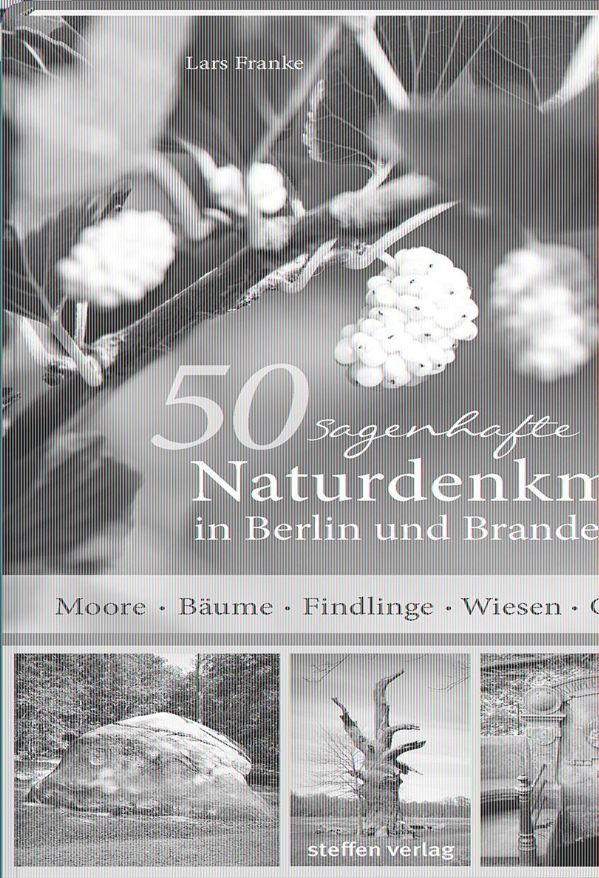 Cover: 9783957990112 | 50 sagenhafte Naturdenkmale in Berlin und Brandenburg | Lars Franke