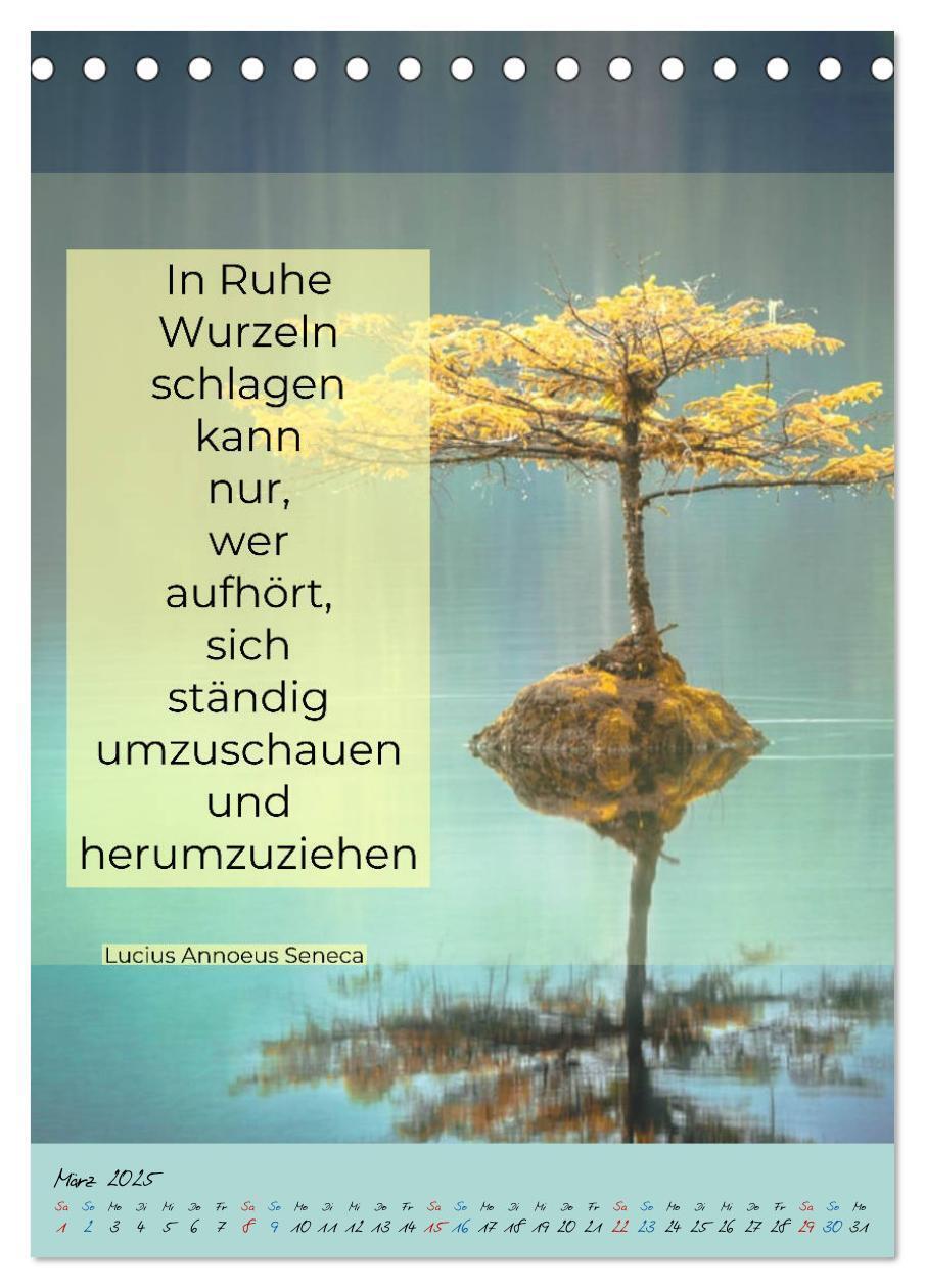 Bild: 9783435940790 | Aktiviere deine Gelassenheit Weisheiten und Zitate (Tischkalender...