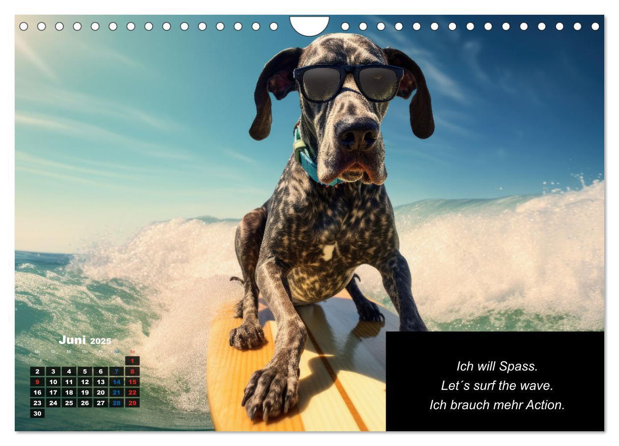 Bild: 9783435722471 | Der humoristische Dogge Kalender (Wandkalender 2025 DIN A4 quer),...