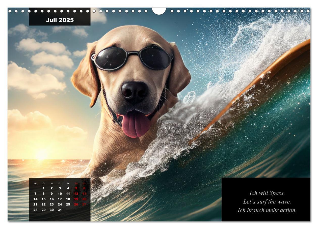 Bild: 9783435368143 | Der witzige Labrador-Kalender (Wandkalender 2025 DIN A3 quer),...