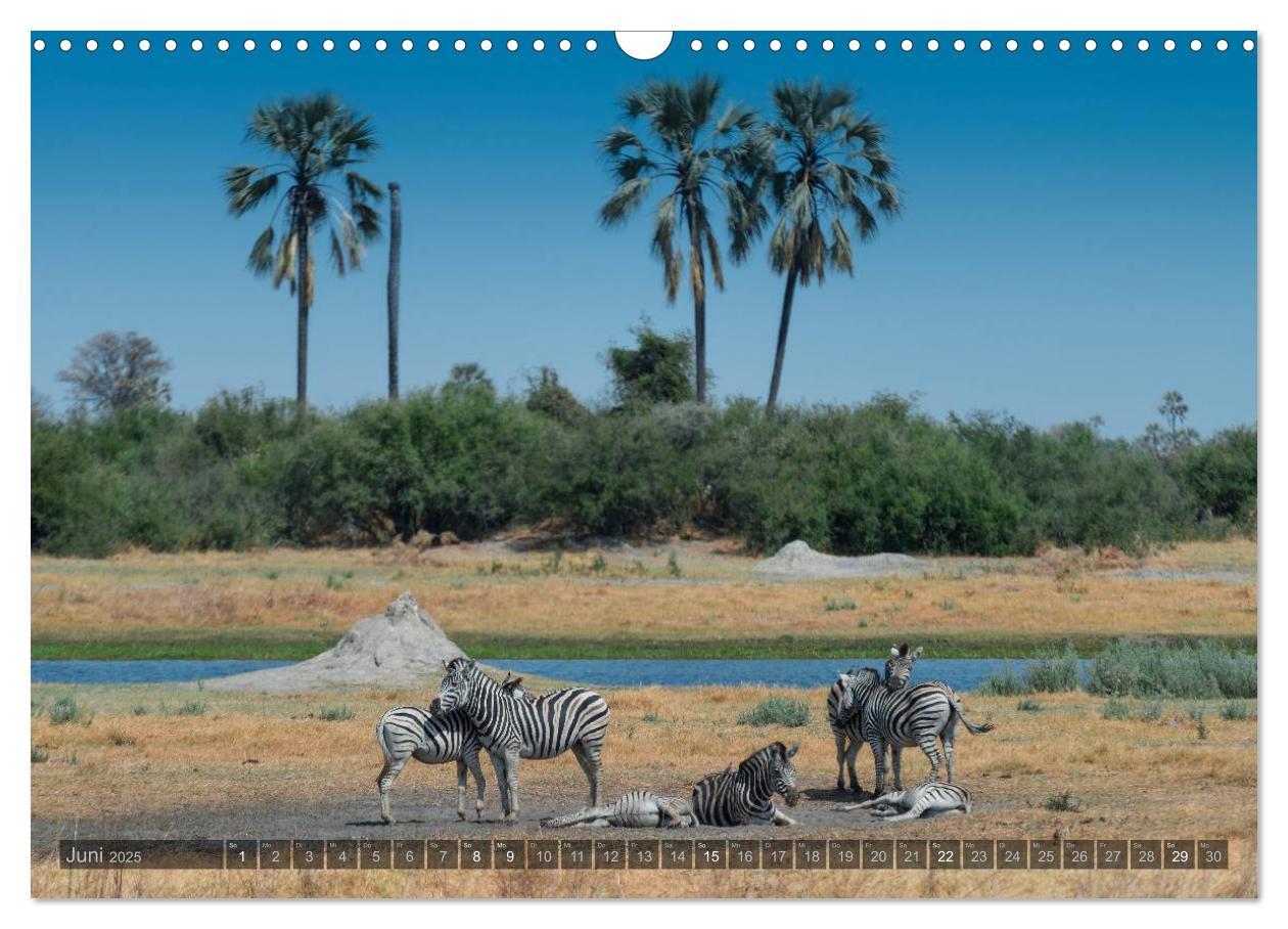 Bild: 9783435725472 | Botswana ¿ Landschaft und Tierwelt (Wandkalender 2025 DIN A3 quer),...