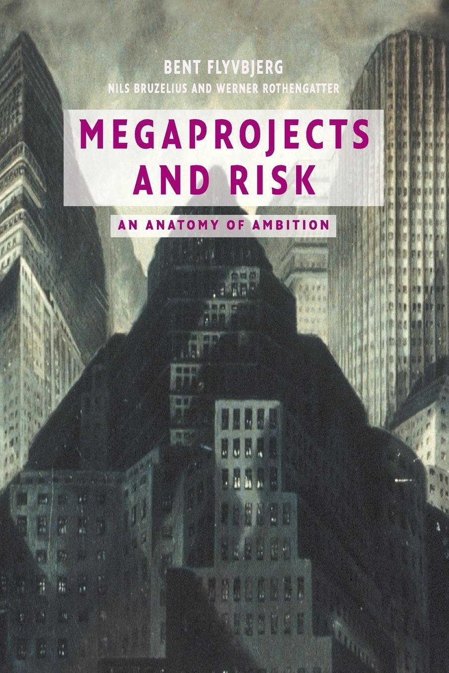 Cover: 9780521009461 | Megaprojects and Risk | Werner Rothengatter | Taschenbuch | Paperback