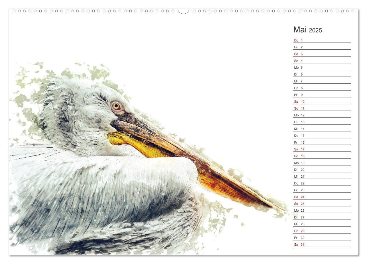 Bild: 9783435403387 | Tierportraits - Fine Art (Wandkalender 2025 DIN A2 quer), CALVENDO...