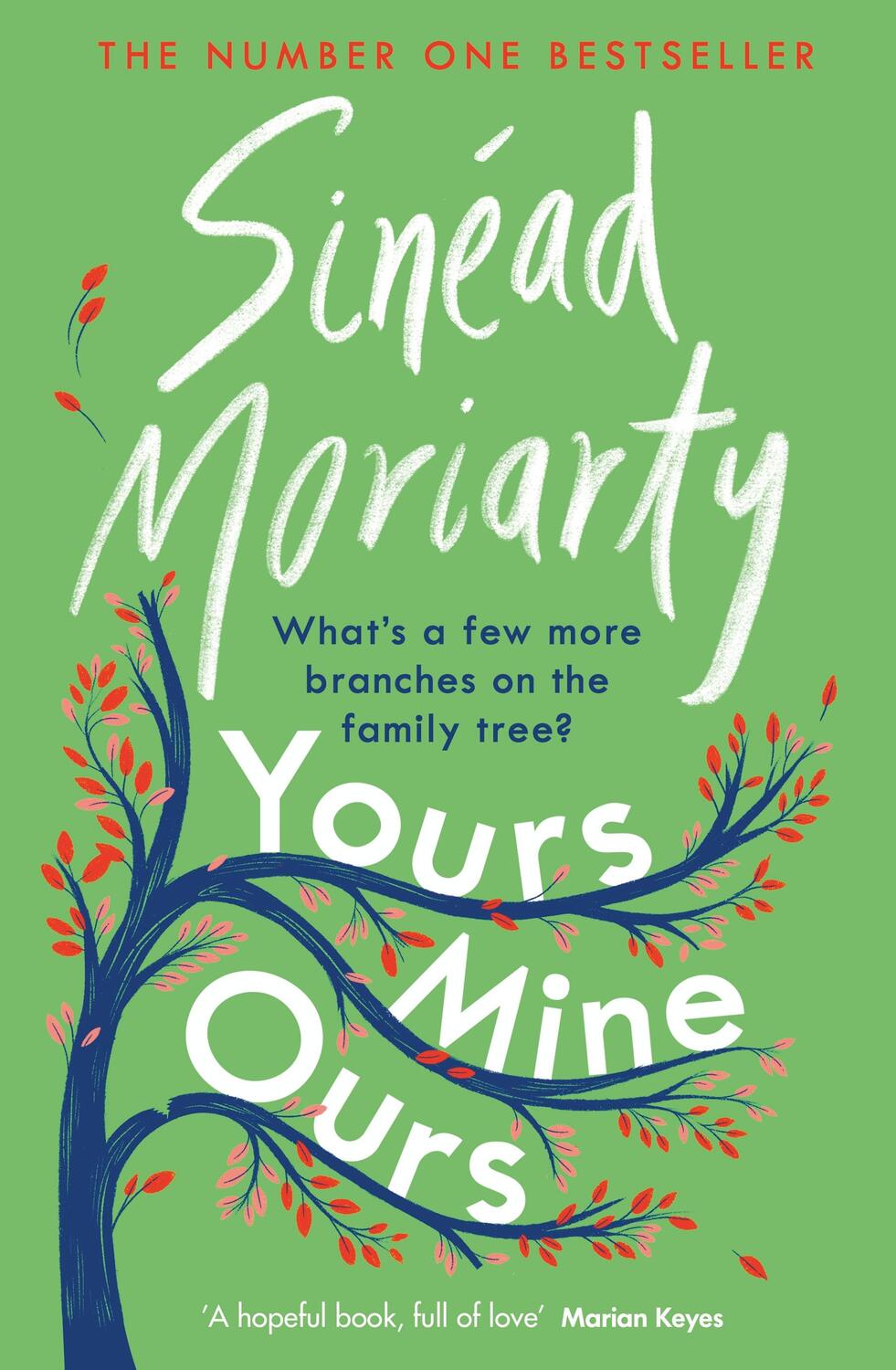 Cover: 9781844885381 | Yours, Mine, Ours | The No 1 Bestseller 2022 | Sinead Moriarty | Buch