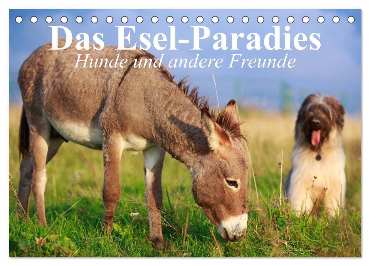 Cover: 9783383441318 | Das Esel-Paradies - Hunde und andere Feunde (Tischkalender 2024 DIN...