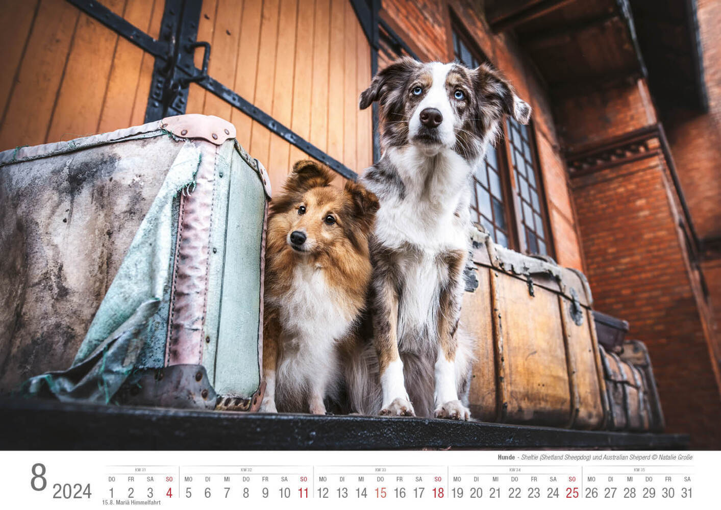 Bild: 9783965351998 | Hunde 2024 Bildkalender A3 quer - Natalie Große | Holger Klaes | 2024