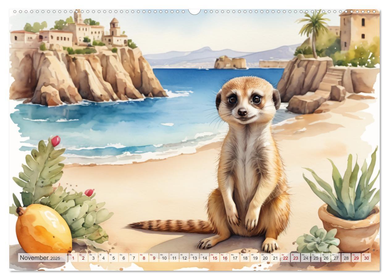 Bild: 9783383807664 | Erdmännchen in Italien (Wandkalender 2025 DIN A2 quer), CALVENDO...