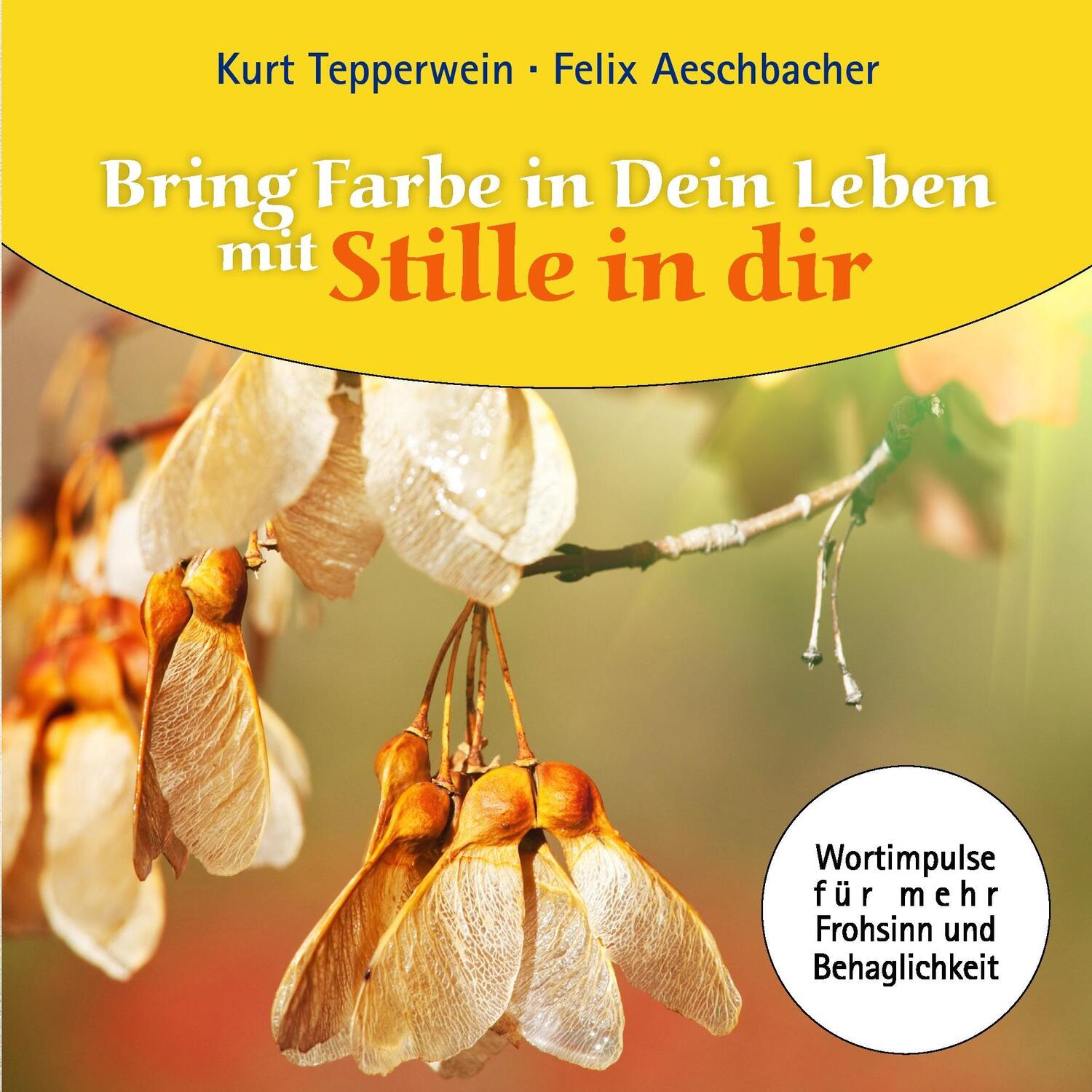 Cover: 9783735787156 | Bring Farbe in Dein Leben mit Stille in dir | Kurt Tepperwein (u. a.)