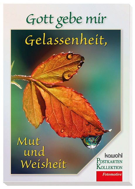 Cover: 9783863383152 | Gott gebe mir Gelassenheit, Mut und Weisheit, Postkarten-Buch | Buch