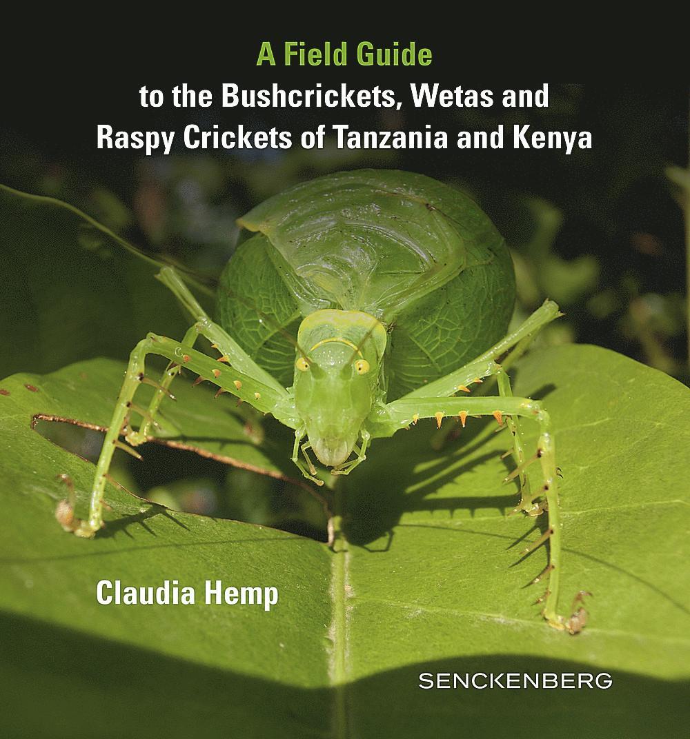 Cover: 9783510614189 | A Field Guide to the Bushcrickets, Wetas and Raspy Crickets of...