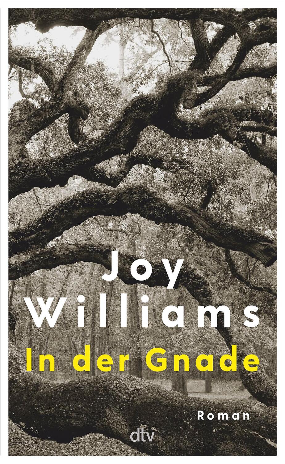 Cover: 9783423283991 | In der Gnade | Joy Williams | Buch | 336 S. | Deutsch | 2024