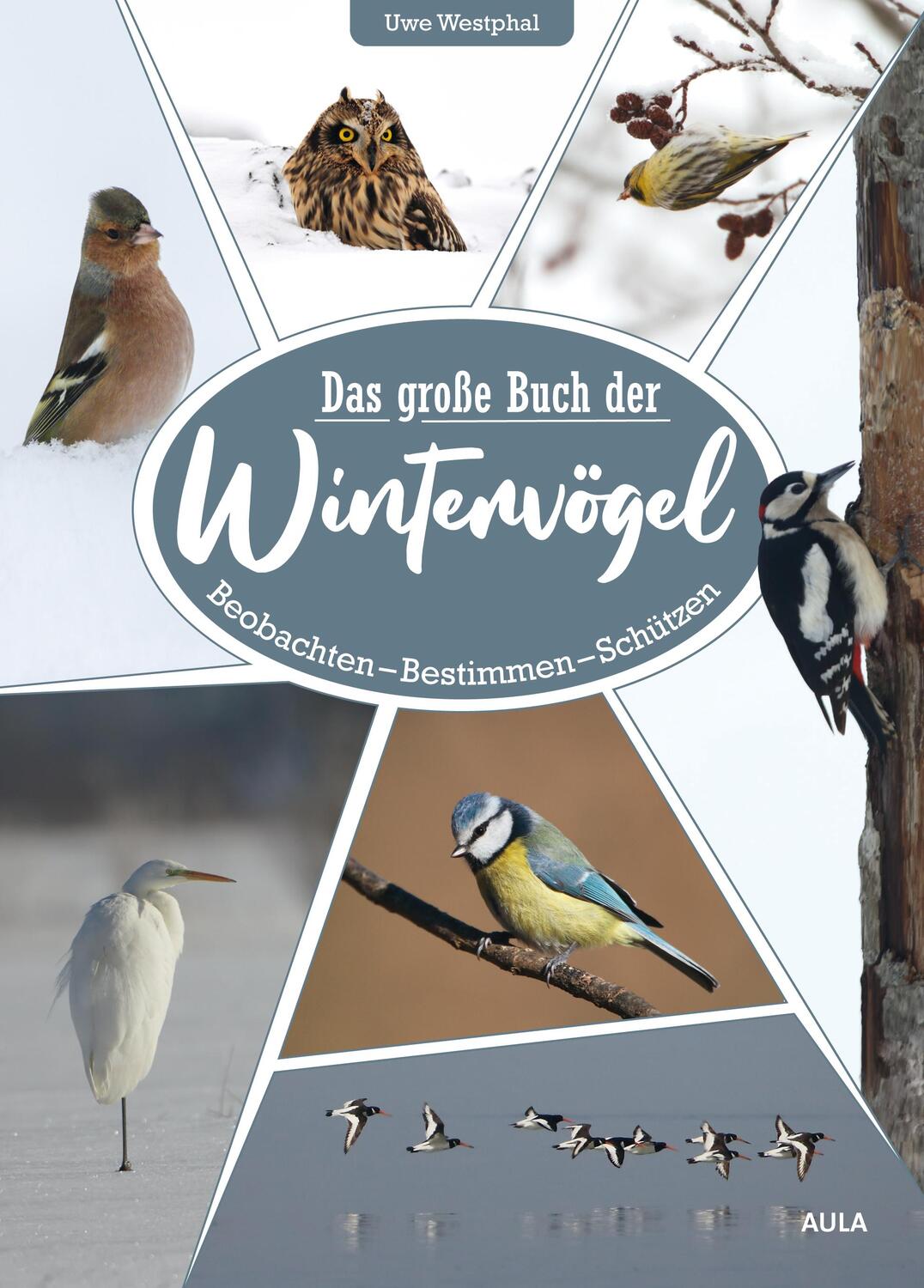 Cover: 9783891048405 | Das große Buch der Wintervögel | Beobachten - Bestimmen - Schützen