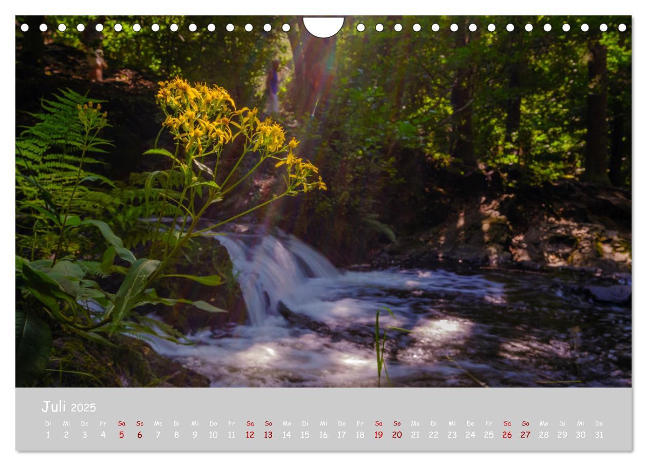 Bild: 9783435032051 | Harzer Impressionen (Wandkalender 2025 DIN A4 quer), CALVENDO...