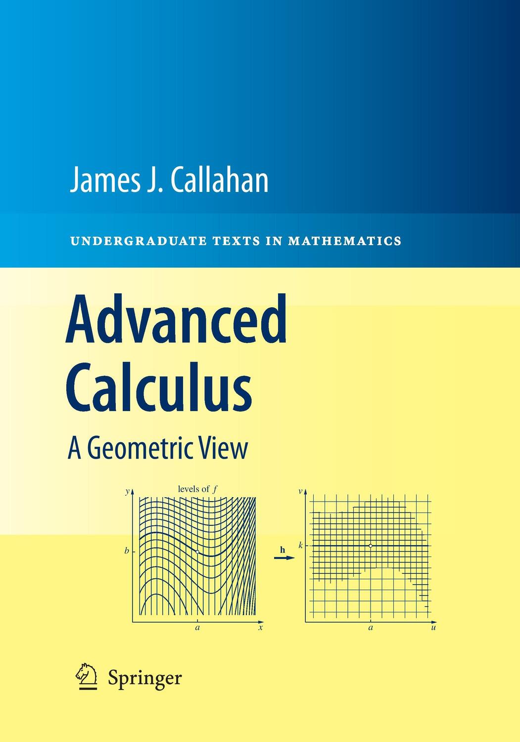 Cover: 9781493940707 | Advanced Calculus | A Geometric View | James J. Callahan | Taschenbuch