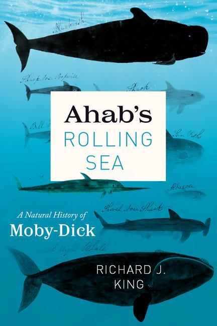 Cover: 9780226789873 | Ahab's Rolling Sea | A Natural History of Moby-Dick | Richard J King