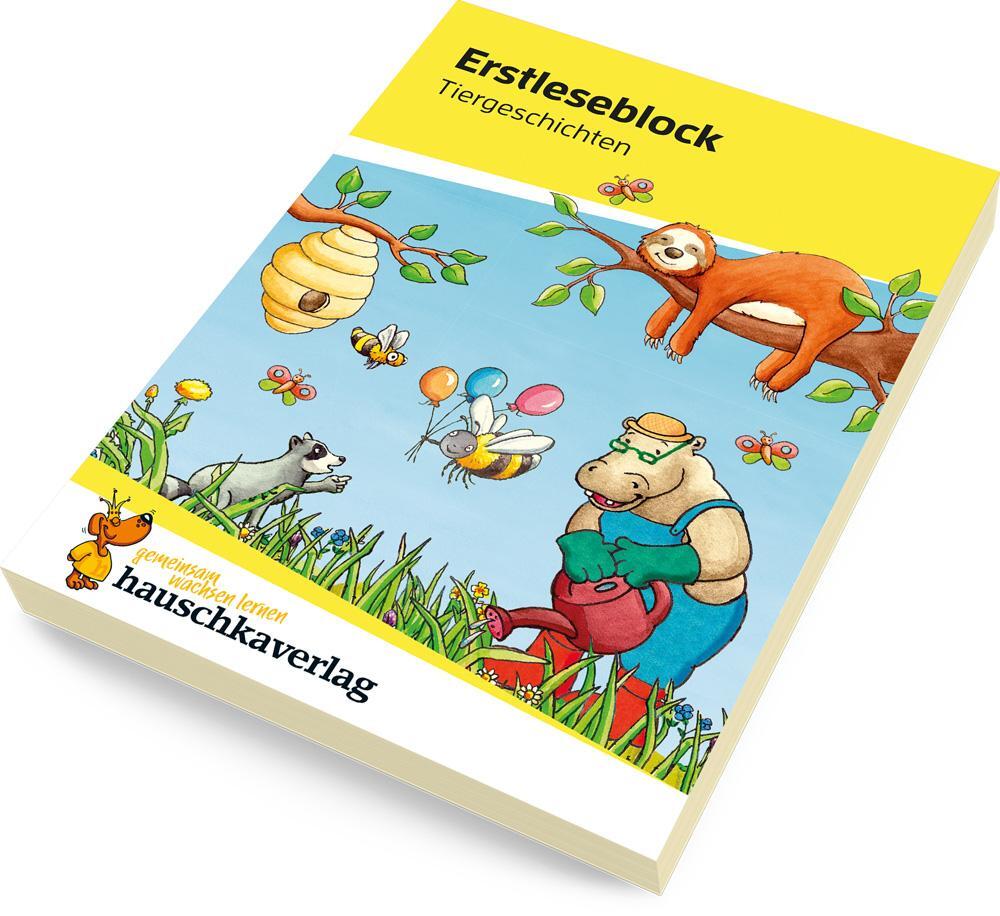 Bild: 9783881005036 | Lesen lernen 1. Klasse für Jungen und Mädchen - Tiergeschichten | Buch