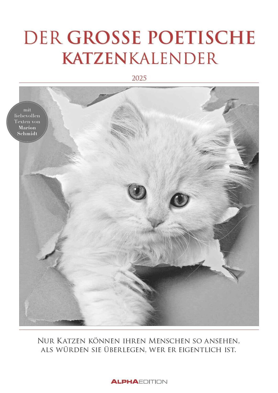 Cover: 4251732342067 | Der große poetische Katzenkalender 2025 - Bildkalender A3 (29,7x42...