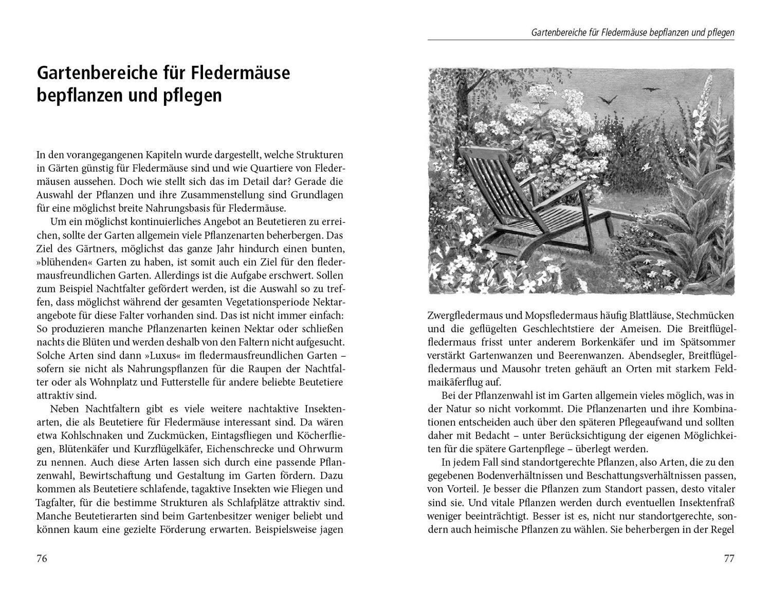 Bild: 9783895663116 | Ein Garten für Fledermäuse | Dirk A. Diehl | Buch | 162 S. | Deutsch