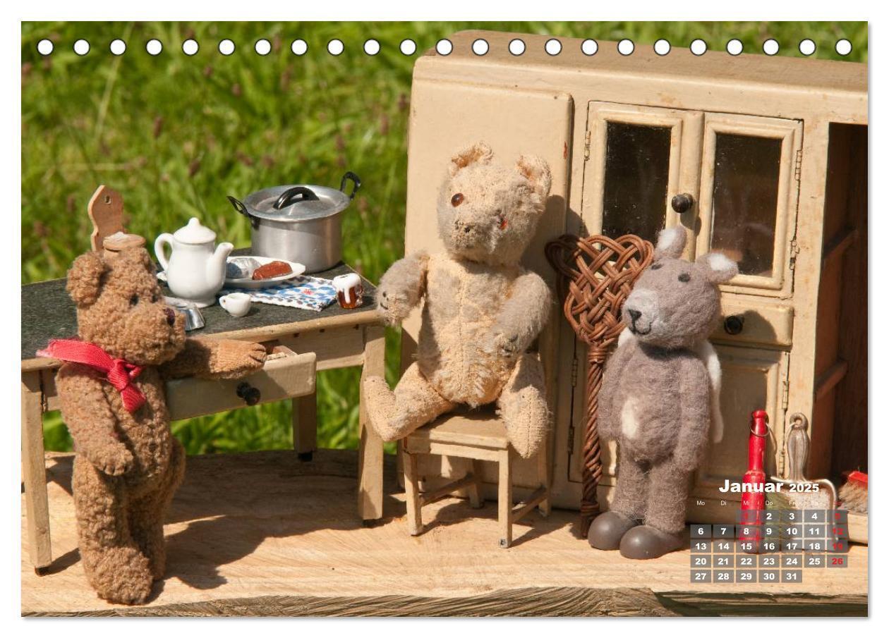 Bild: 9783435575251 | Geliebte Bären - Teddys (Tischkalender 2025 DIN A5 quer), CALVENDO...