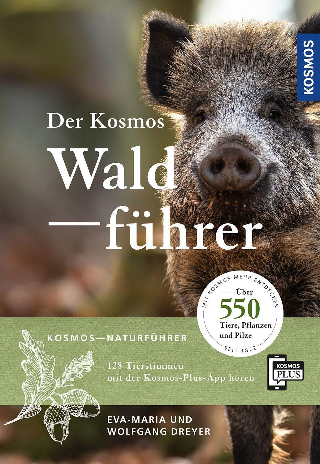 Cover: 9783440176801 | Der Kosmos Waldführer | Über 550 Tiere, Pflanzen und Pilze | Buch