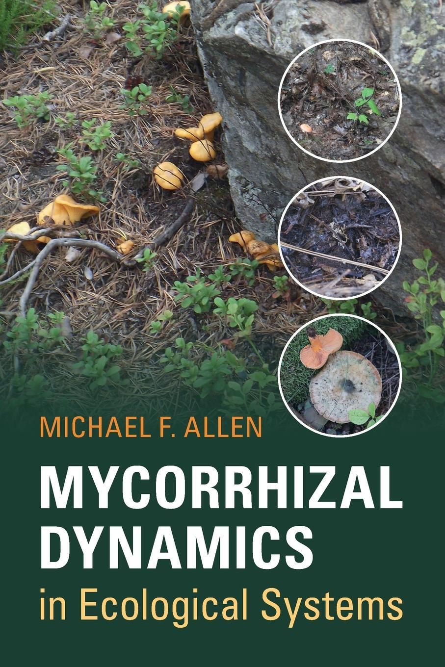 Cover: 9780521539104 | Mycorrhizal Dynamics in Ecological Systems | Michael F. Allen | Buch