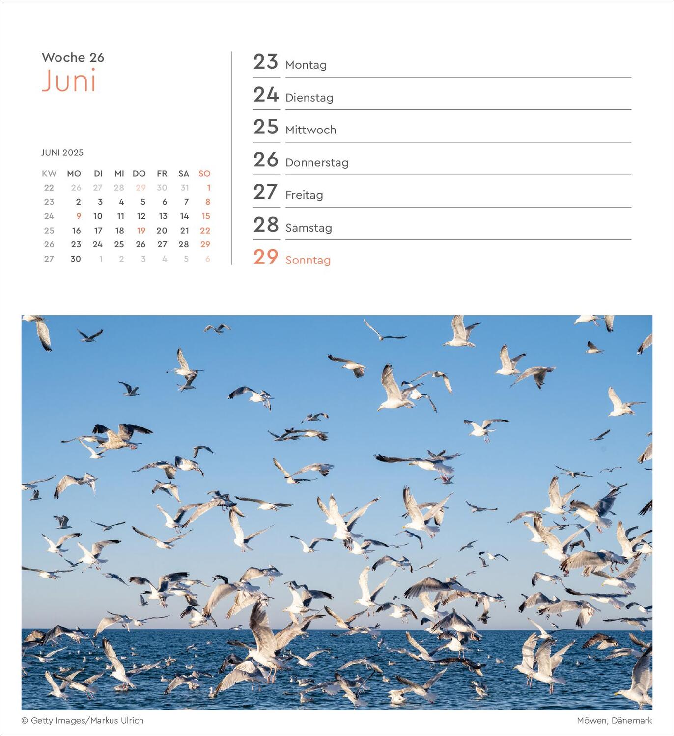 Bild: 9783965913899 | Nordseeküste - KUNTH Postkartenkalender 2025 | Kalender | 53 S. | 2025