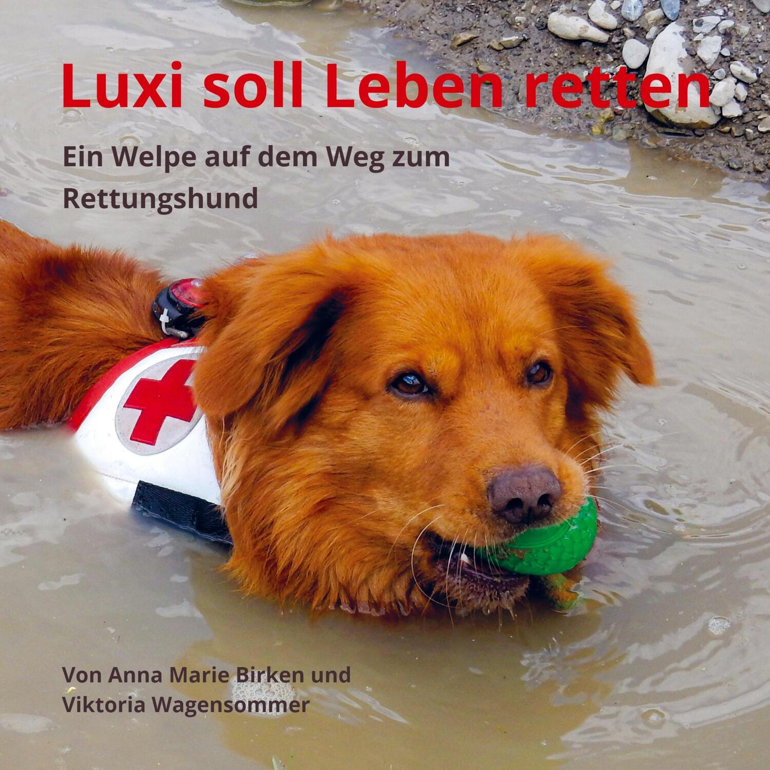 Cover: 9789403600963 | Luxi soll Leben retten | Ein Welpe auf dem Weg zum Rettungshund | Buch