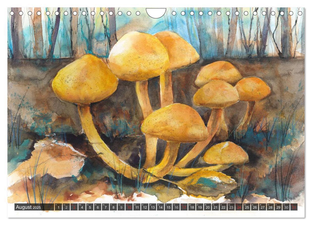 Bild: 9783435602124 | Pilze in Aquarell (Wandkalender 2025 DIN A4 quer), CALVENDO...