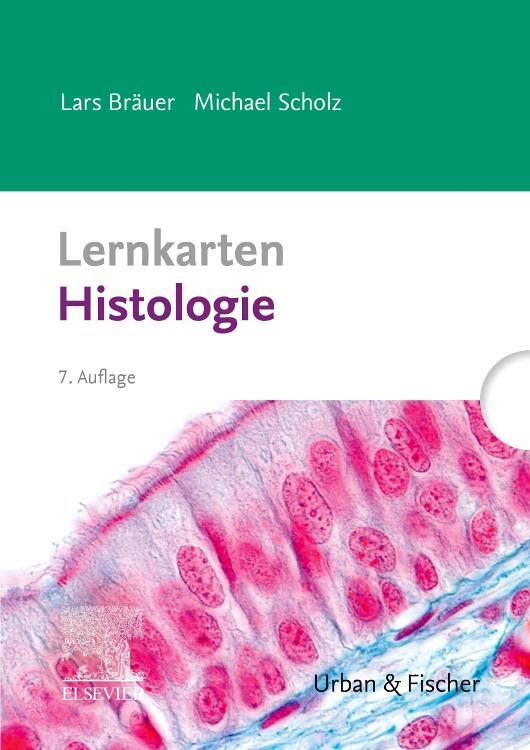 Cover: 9783437436246 | Lernkarten Histologie | Histologie | Lars Bräuer (u. a.) | Box | 2020