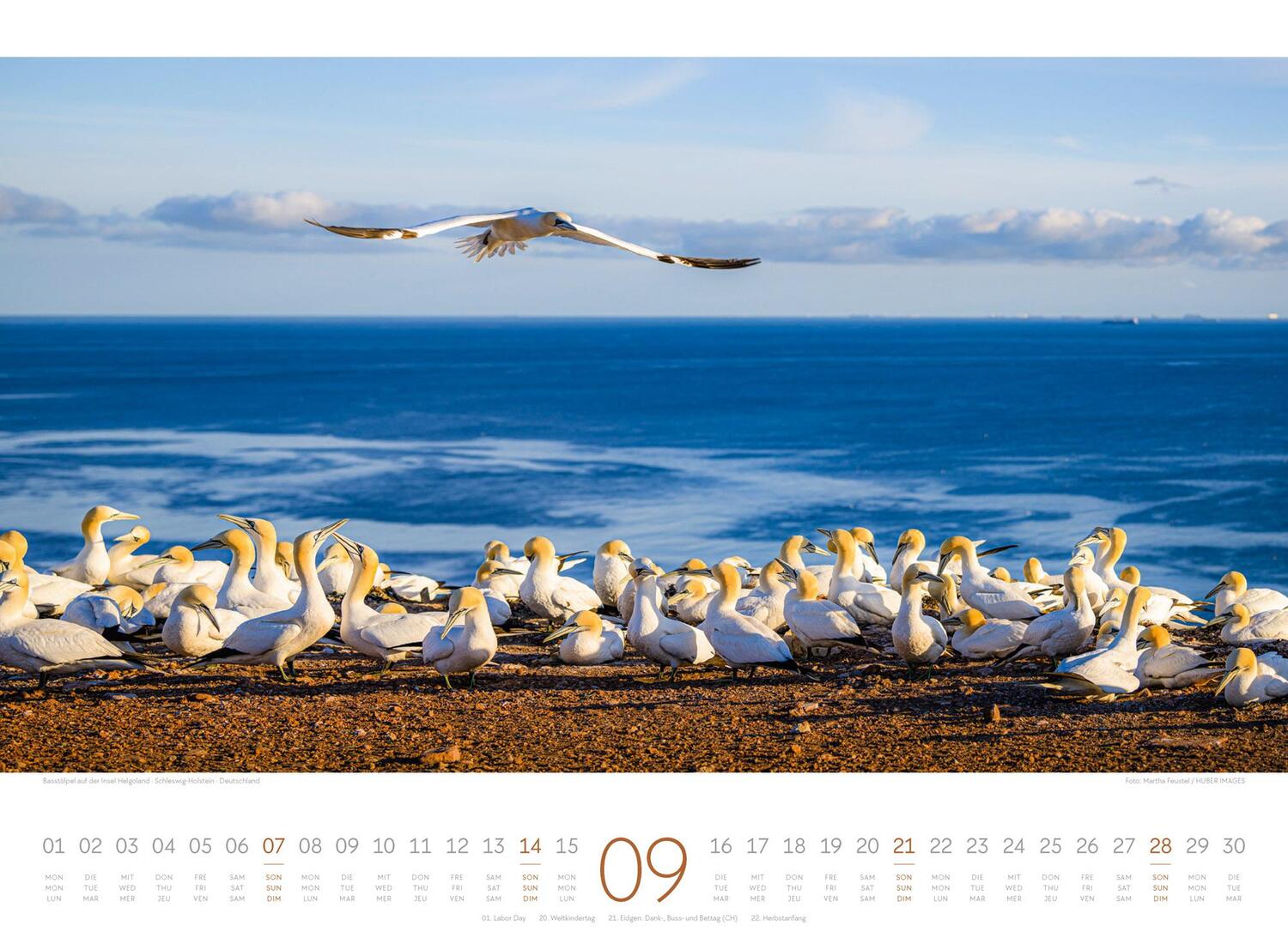 Bild: 9783838425771 | Tage am Meer Kalender 2025 | Ackermann Kunstverlag | Kalender | 14 S.