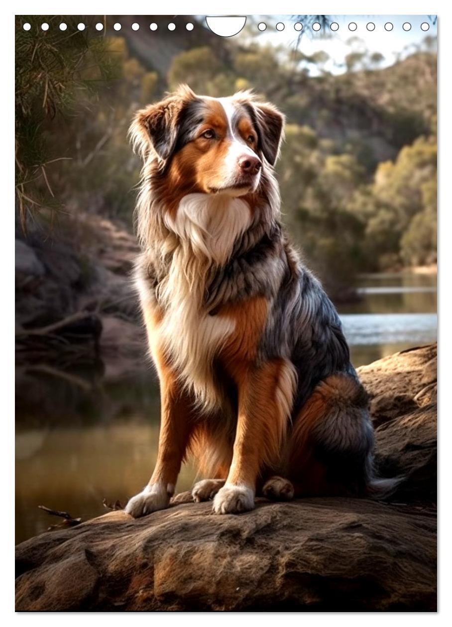 Bild: 9783435872602 | Australian Shepherd (Wandkalender 2025 DIN A4 hoch), CALVENDO...