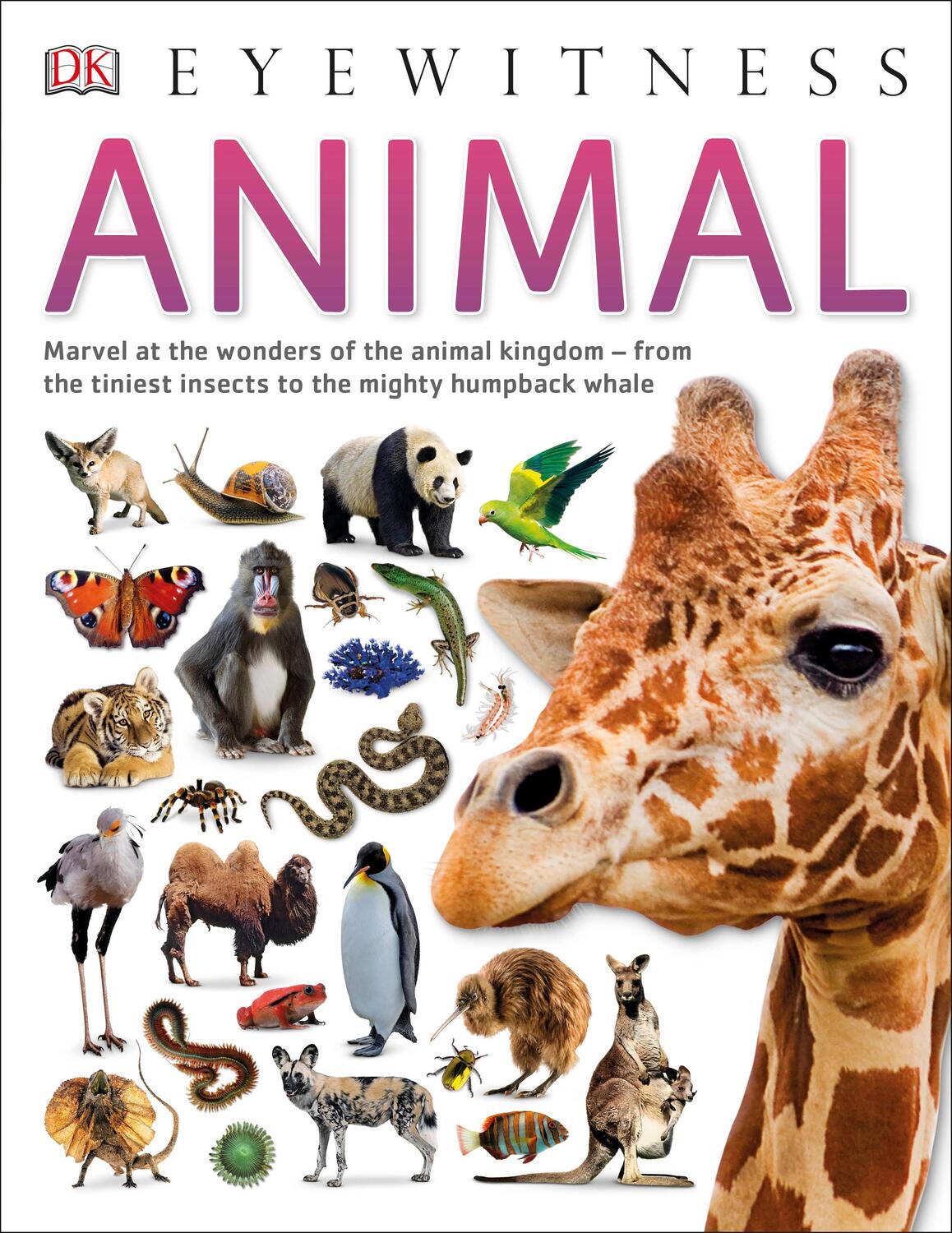 Cover: 9780241187760 | Animal | DK | Taschenbuch | DK Eyewitness | Englisch | 2015