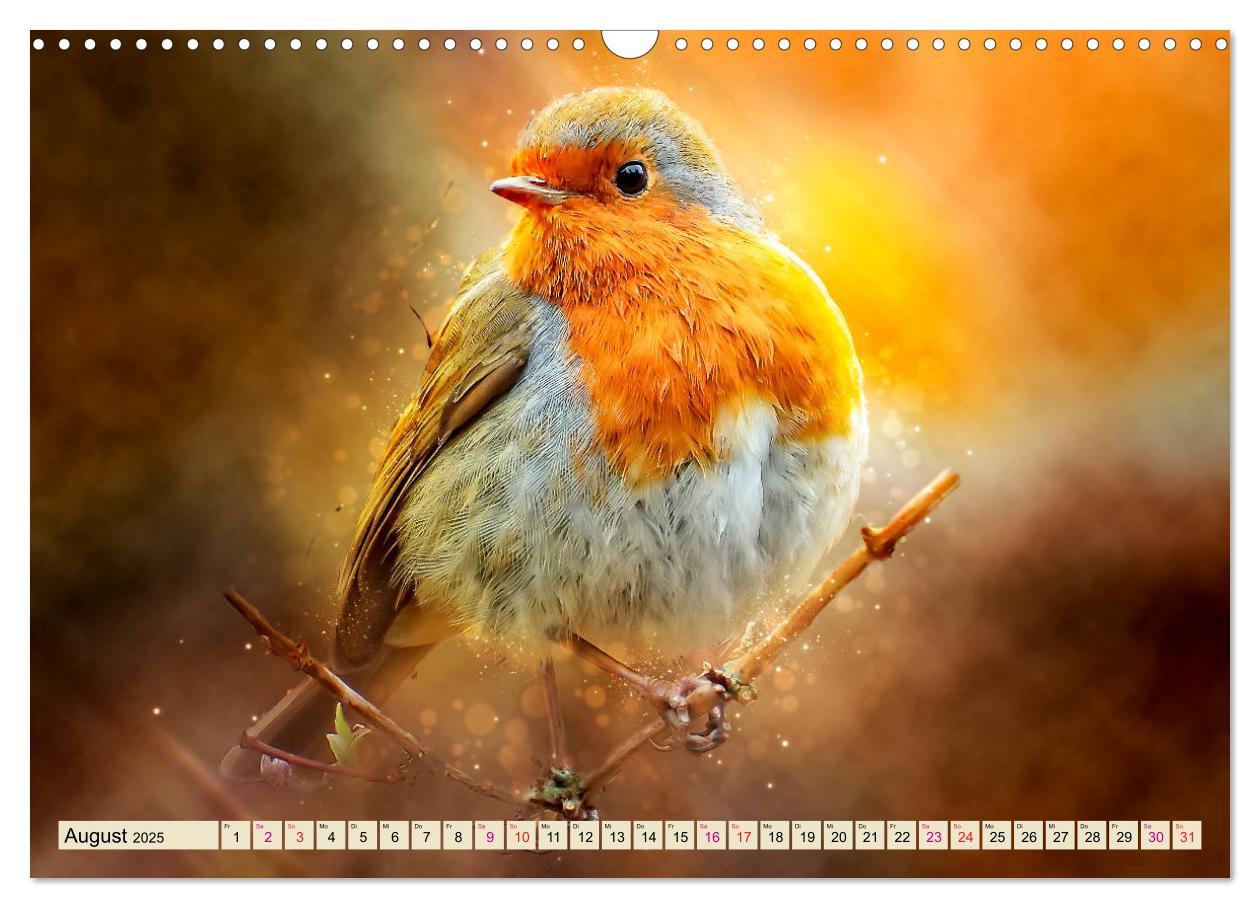 Bild: 9783435333646 | Bei uns im Garten - Rotkehlchen (Wandkalender 2025 DIN A3 quer),...